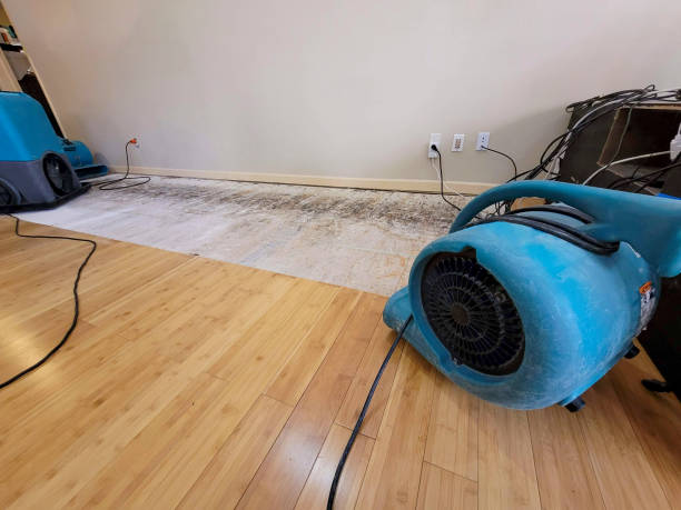 Reliable Basement Flood Cleanup contractor in Roseville, CA by Hirex Water Damage