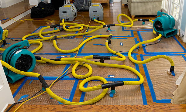 Professional Basement Flood Cleanup technician working in Roseville, CA